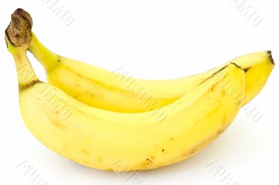 Two yellow bananas