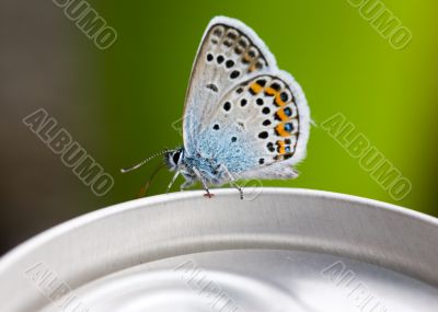 Natural and artificial