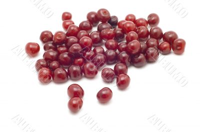 cherries on white