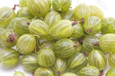 gooseberries closeup