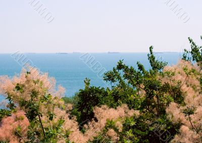 beautiful landscape