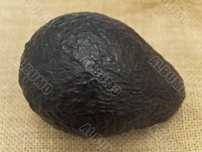 avocado avocado
