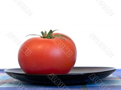 tomato tomato
