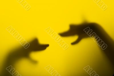 Shadow hand puppets - Dog`s heads