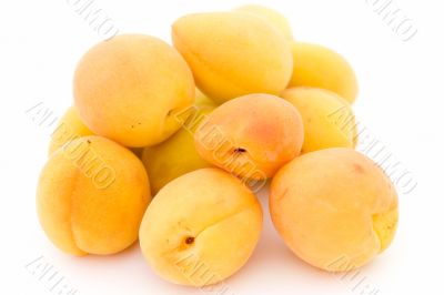Some ripe apricots