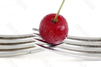 wet cherry with two fork over white background