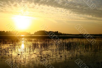 evening beautifully lake