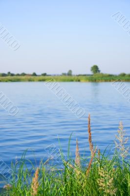 Summer landscape with lake