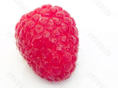 Raspberry Raspberry