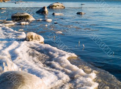Spring Sea Spring Sea