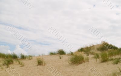 Sandy Dunes