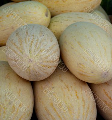 Uzbek melons on the market