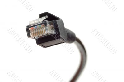 Black Network Cable