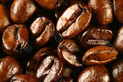 coffee beans coffee beans