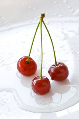 Ripe cherries