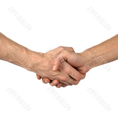 hand shake on white hand shake on white