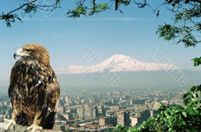 Mountain Ararat.