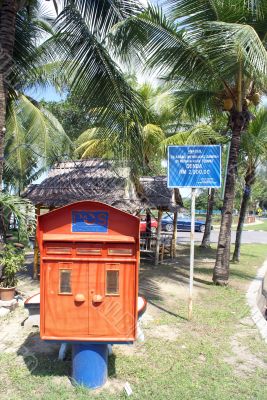 Mailbox and palm tree