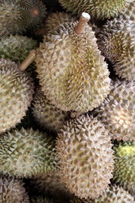 Durians