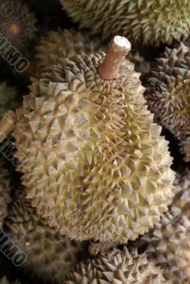 Durians