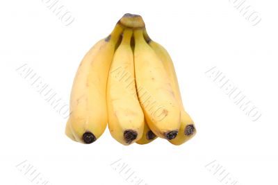 Yellow bananas