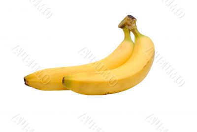 Yellow bananas