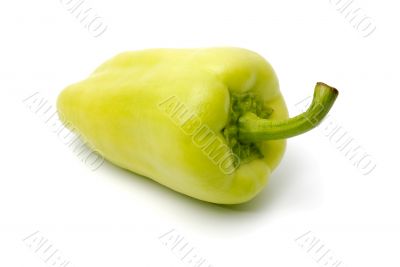 Sweet bulgarian pepper