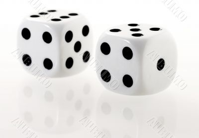 two white dices with reflection