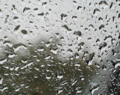 rain drops in a window