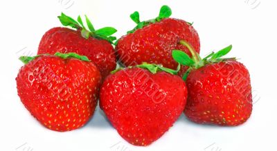 fresh strawberrys fresh strawberrys
