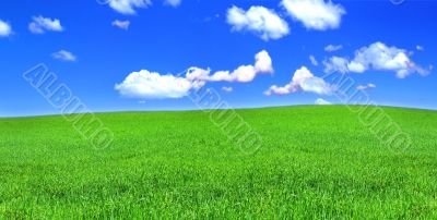 panoramic view of peaceful grassland