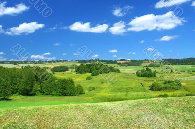 summer landscape with cumulus clouds