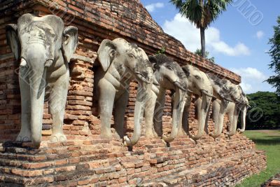 Elephants