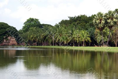 Pond and palm trees