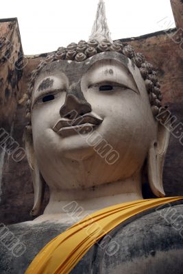 Buddha`s head
