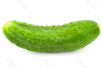 One green cucumber