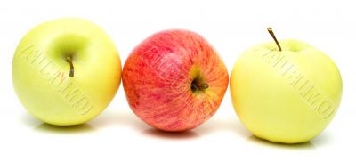 Red and yellow apples 3