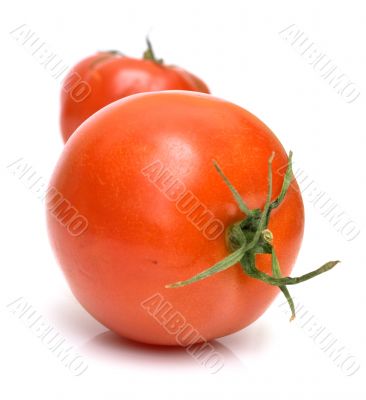 juicy fresh tomatoes 3