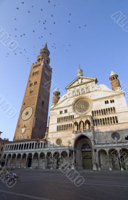 Cremona, Cathedral and Belfry with swallows Cremona, Cathedral and Belfry with swallows