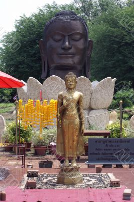 Buddha`s head