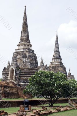 Stupas