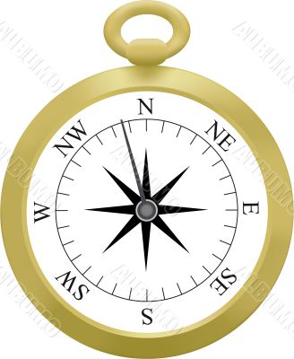 Gold Compass