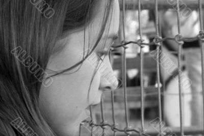 Ten year old girl looking into pen at petting zoo