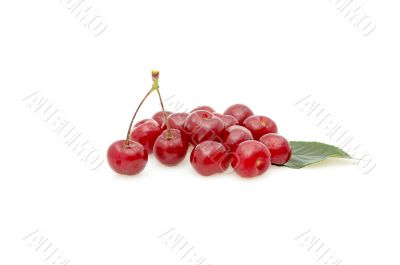 Cherries isolated on a whiteground. Cherries isolated on a whiteground.