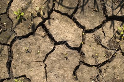 Drought. Drought.