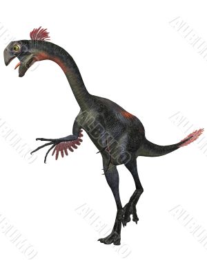 Gigantoraptor erlianensis Gigantoraptor erlianensis