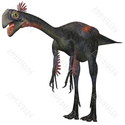 Gigantoraptor erlianensis Gigantoraptor erlianensis