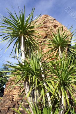 Tower and palm tree