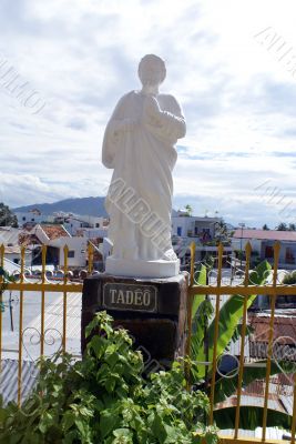 Tadeo