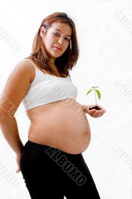 Pregnent woman Pregnent woman